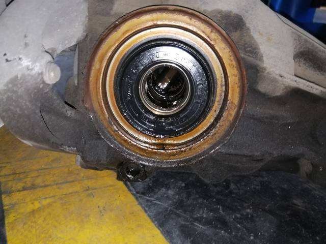 oil seal leak